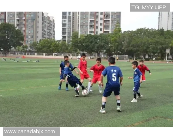 精彩八人制足球比赛视频集锦尽显团队协作与个人技巧的完美结合